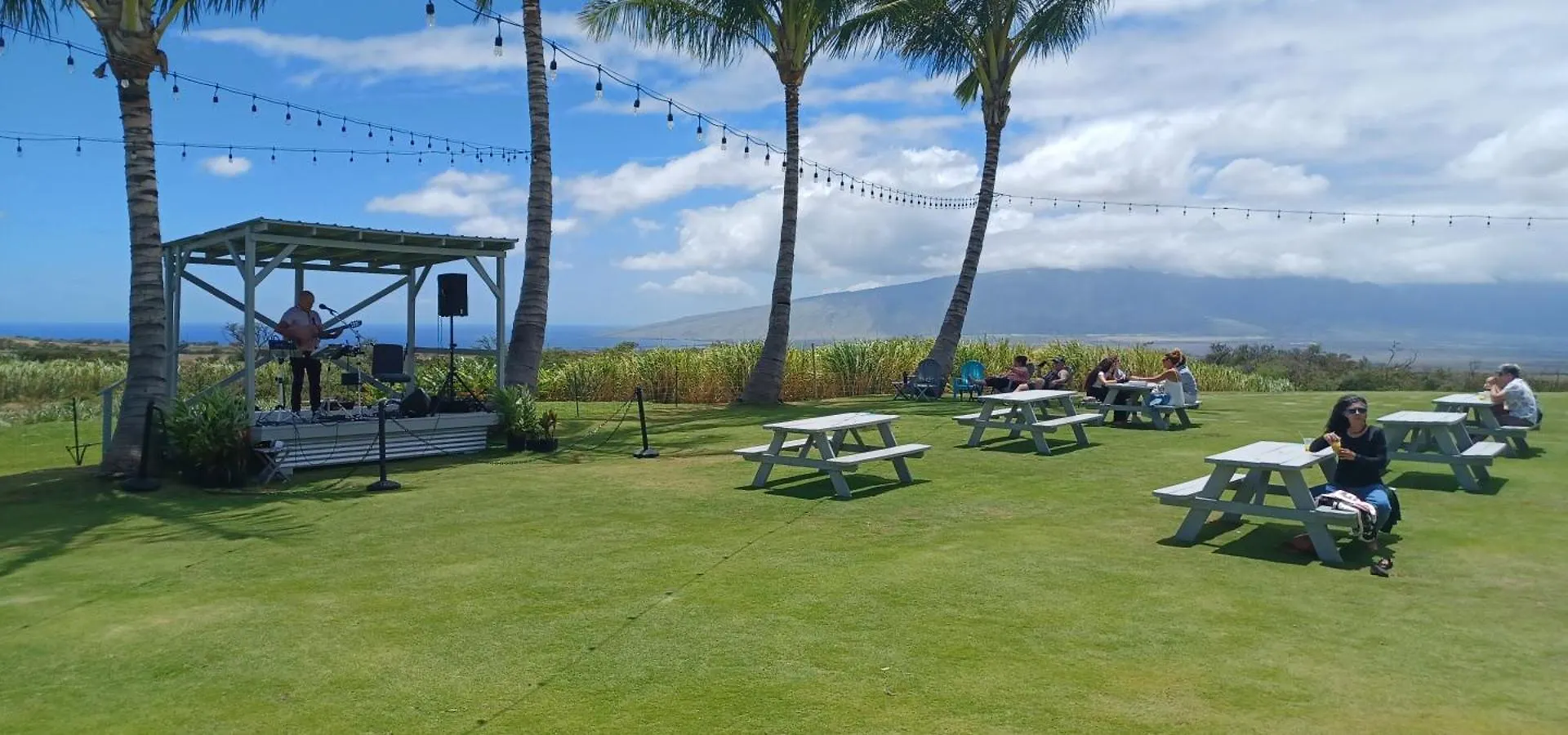 Campcar Maui Jeeps Suvs Hybrid Camper Van Rentals With Equipment And Travel Advice Kahului Hotel