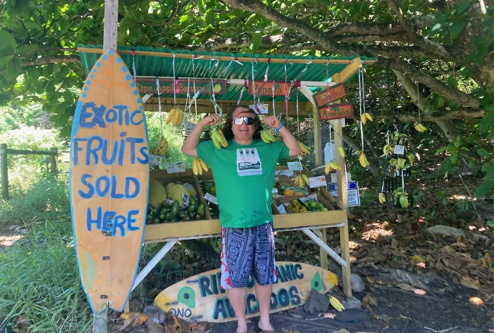 Hotel Campcar Maui Jeeps Suvs Hybrid Camper Van Rentals With Equipment And Travel Advice Kahului